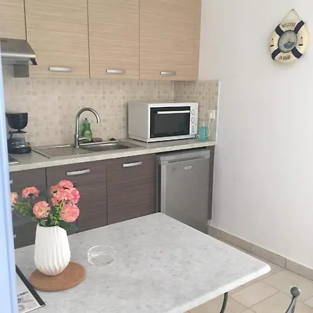 Pleiades Paros Family