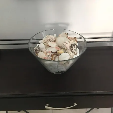 Pleiades Paros Family